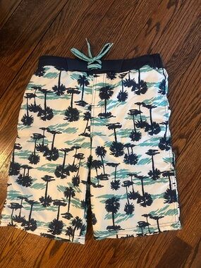 Cat & Jack Teal and Navy Elastic Waist Swim Shorts